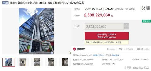 宝能城260套商务公寓被集体拍卖,起拍价近26亿元